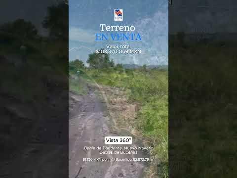 Previsualización del video