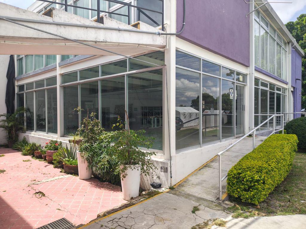 Foto de la galeria de imagenes