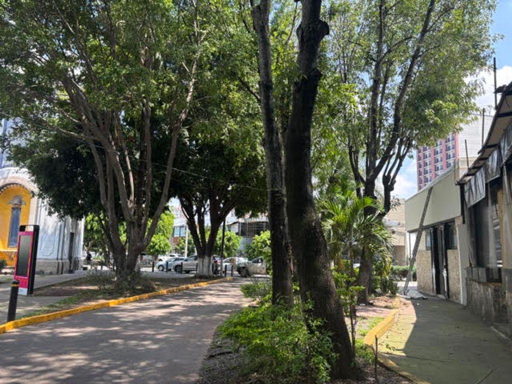 Foto de la galeria de imagenes