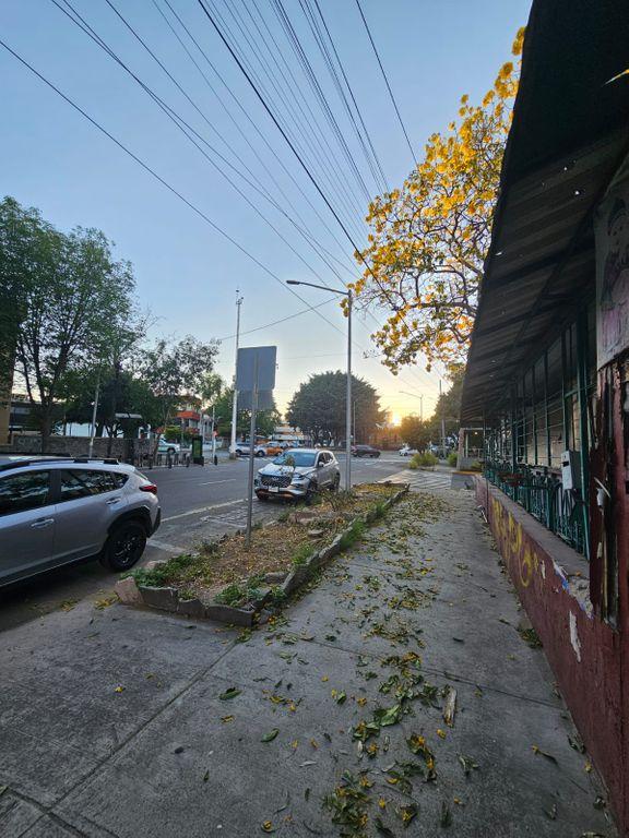 Foto de la galeria de imagenes